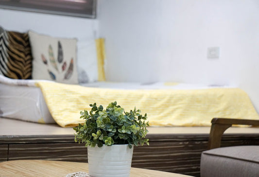 10 Key Differences Between Garden Rooms and Summer Houses