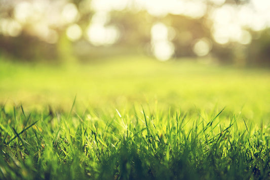 Cooling Solutions for Garden Sheds: Beat the Summer Heat
