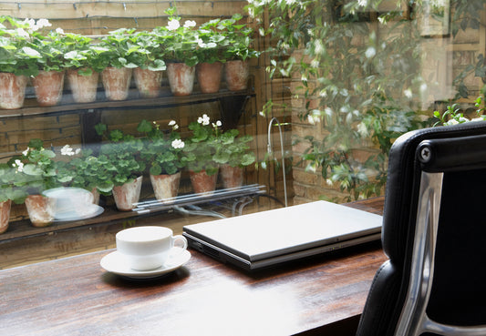 Our Top Perks Of Building The Perfect Garden Office