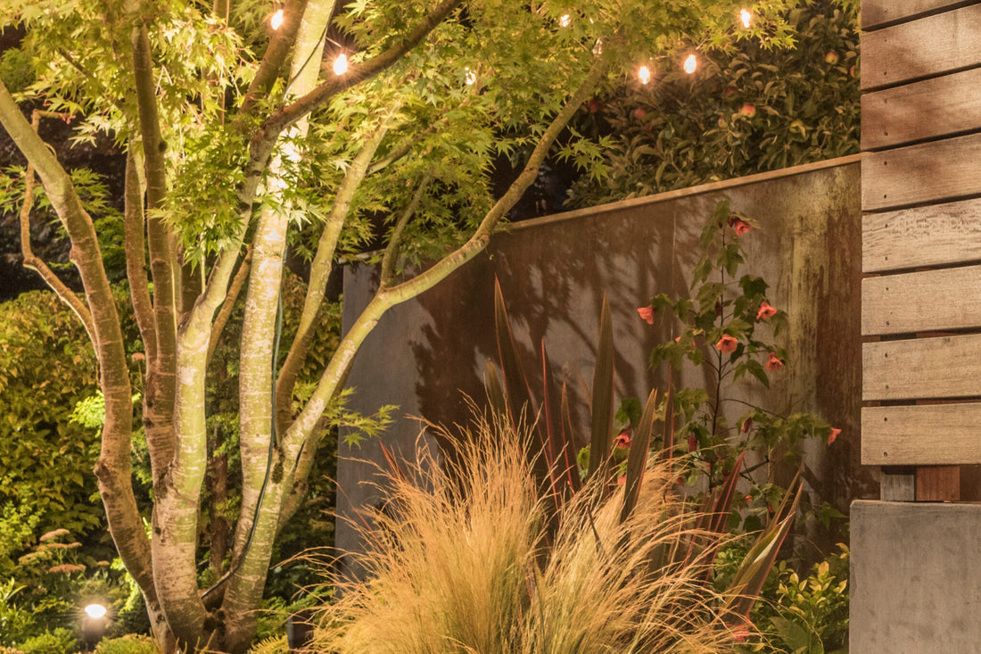 Ways To Make Your Shed More Eco-Friendly